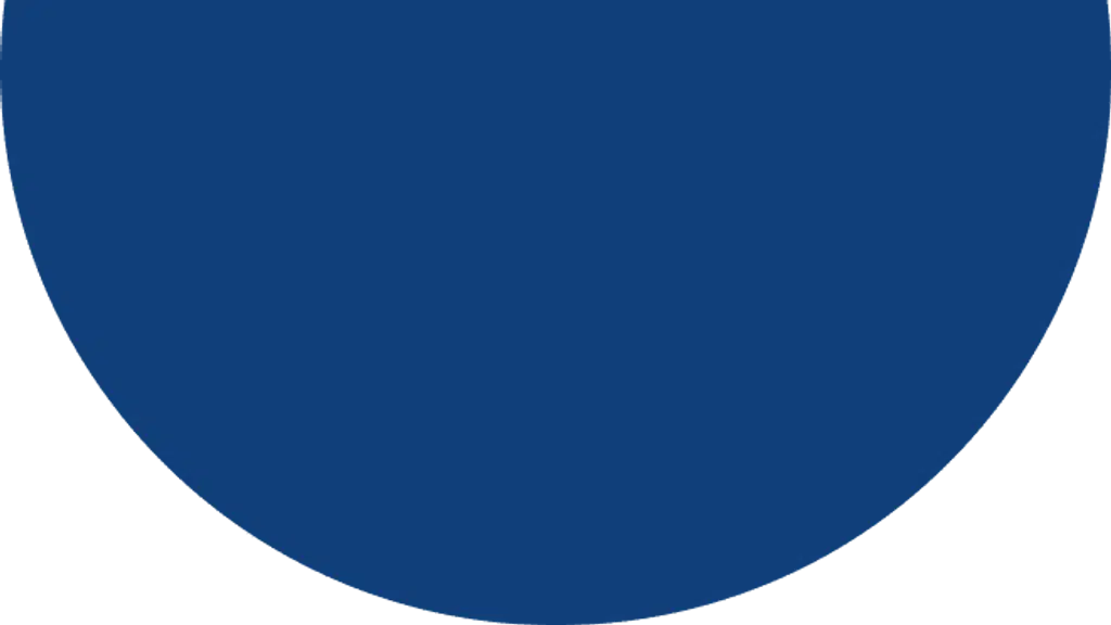 TheSEOGuy - SEO Agency in Delhi