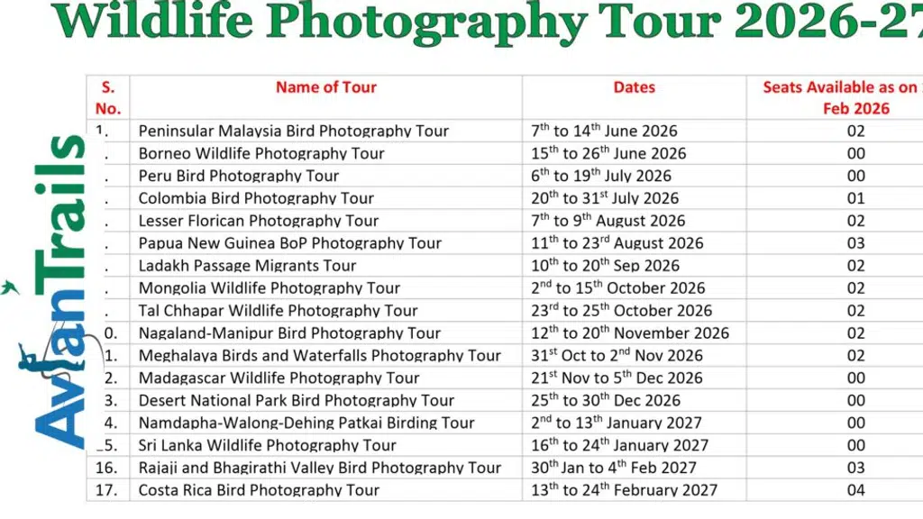 Milieu Villa Birding Lodge
