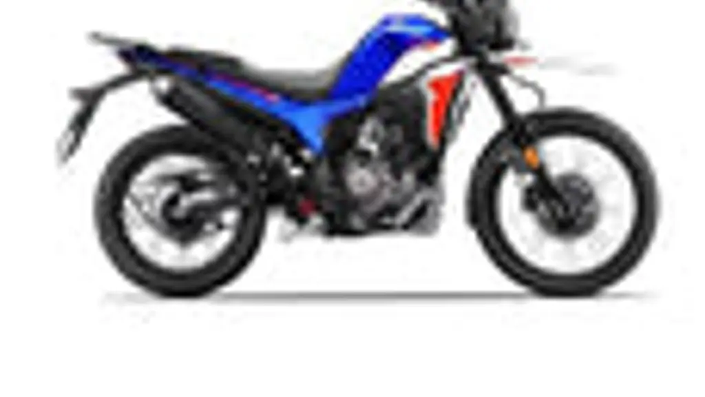 Roadmonks Bike Accessories