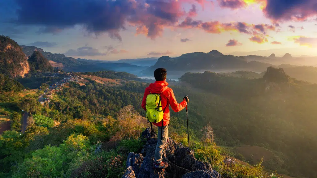 Al Hamdan Travel & Tourism Llp Malappuram