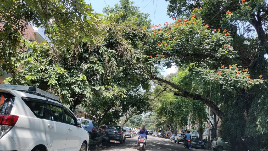 Nandus Kasturi Nagar
