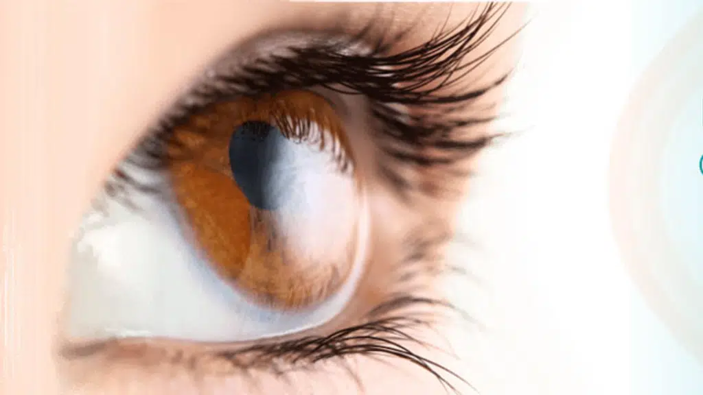 Neo Eye Clinic