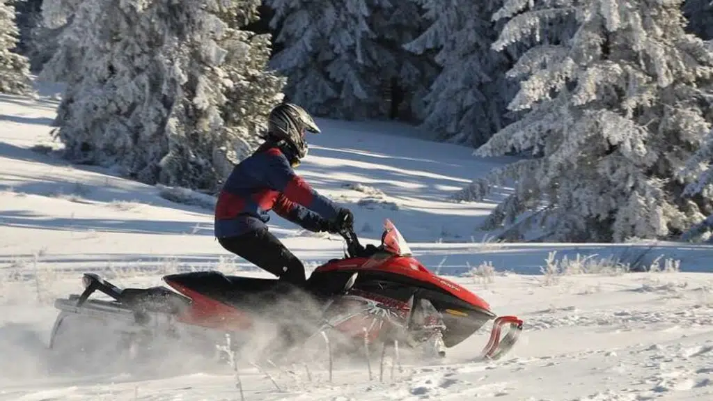 Gulmarg Guiding - Anees