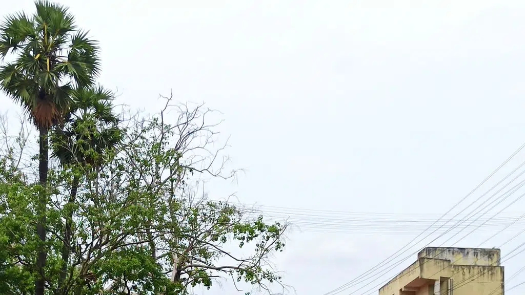 Chinmiya Vidyalay School