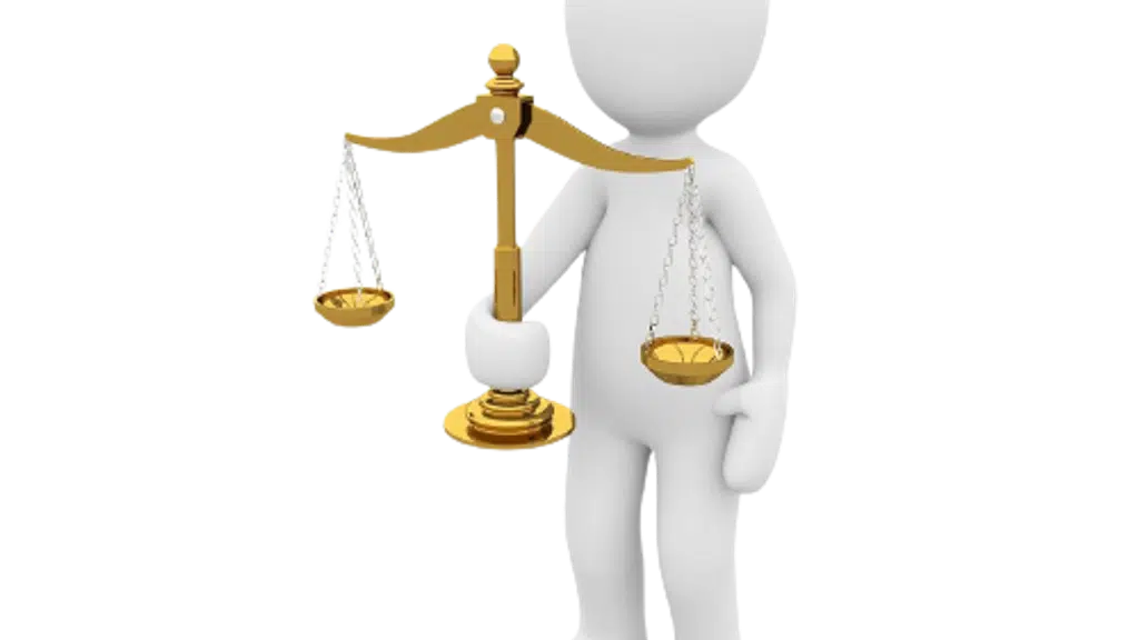 Firuz Khan Legal Services LLP