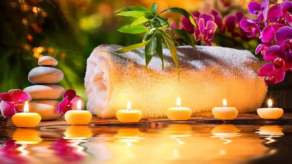 LI Spa Saket Delhi
