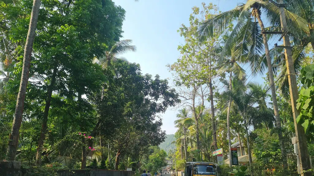 Mithraa Homoeo Calicut