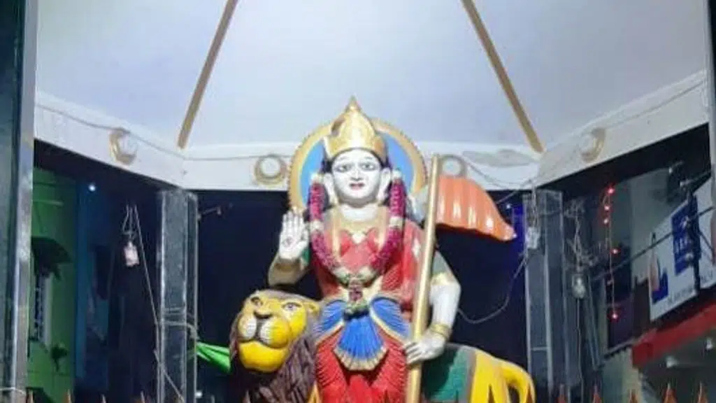 Rungta sarees