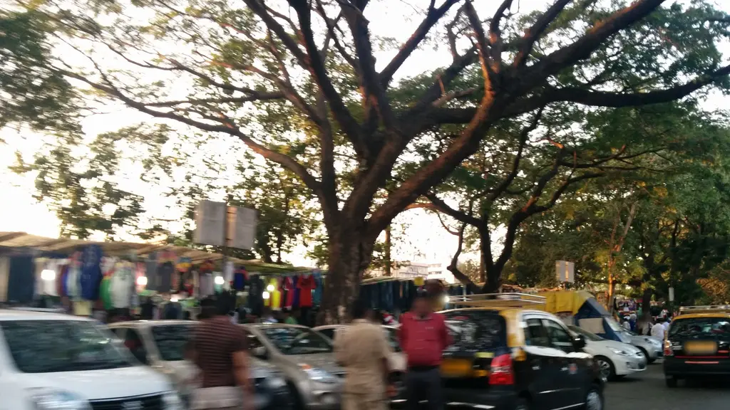SAAARTHI.com™ - Hire Police Verified & Trained Driver