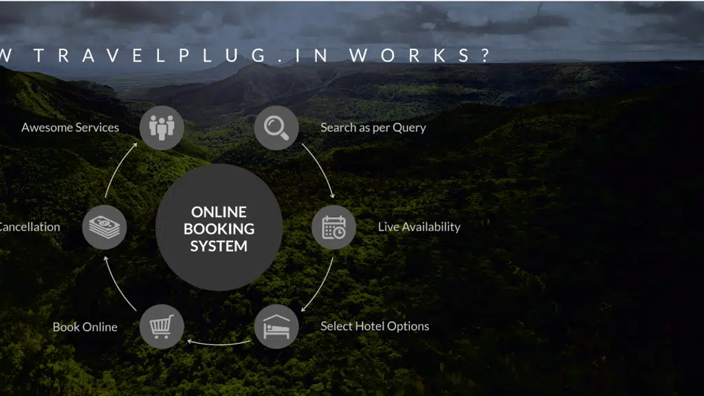 Travel Plug