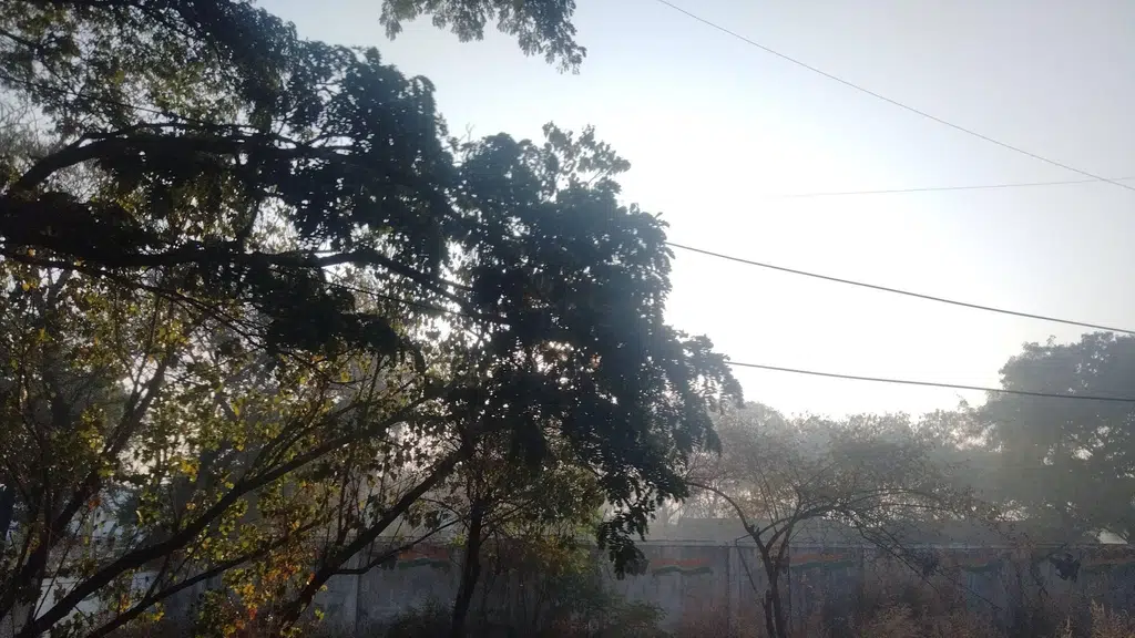 7 Tettra School