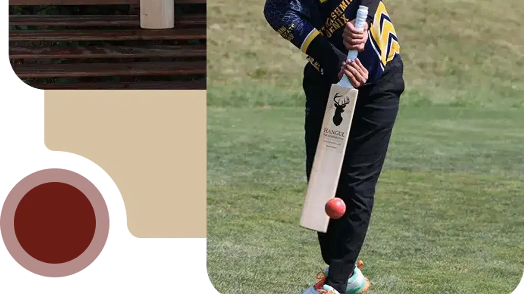 Kashmirica