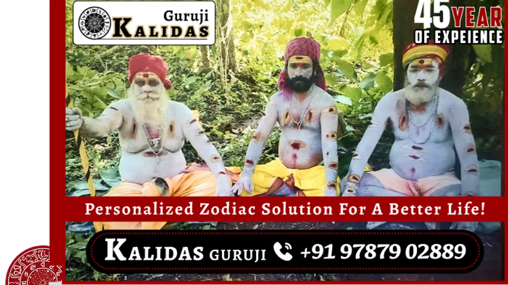 Sri guruji astrologer