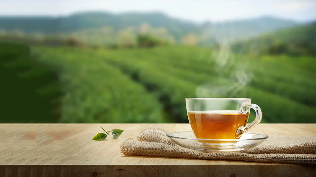 Rajasthan Chai