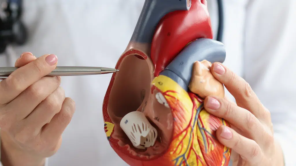 Hriyaan Cardiac Care