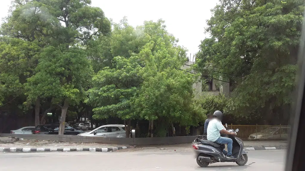 Chirag Delhi Flyover