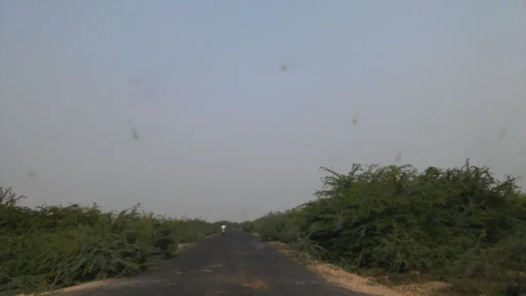Kutch Resort