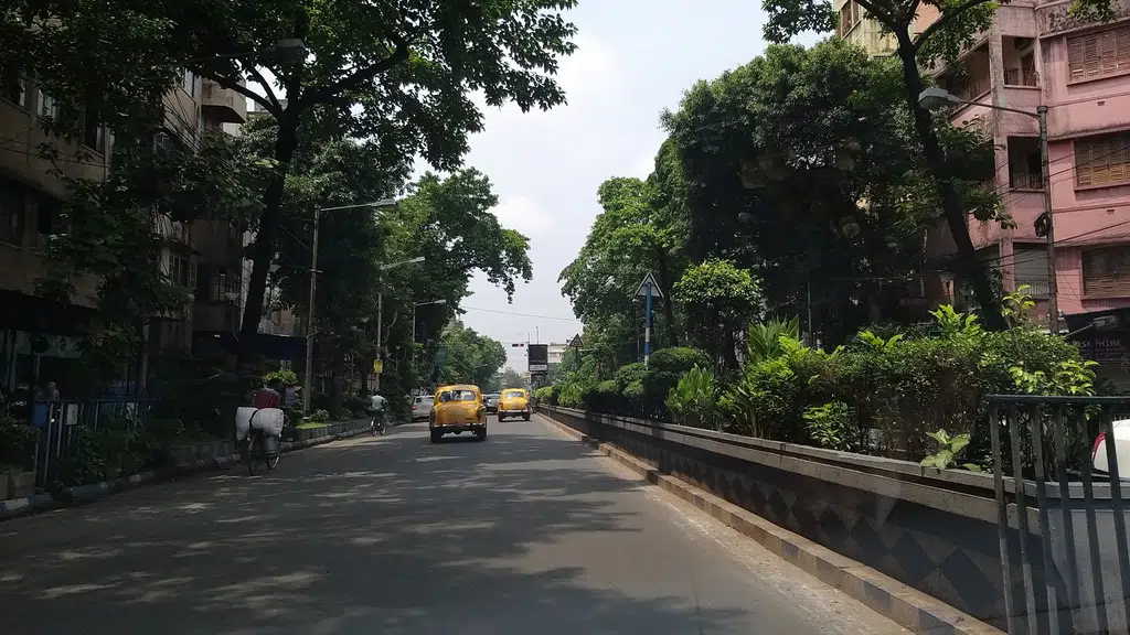 Mehendi