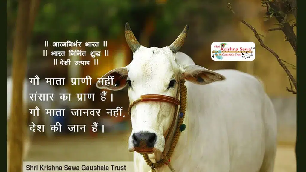 Shri Krishna Sewa Gaushala Trust