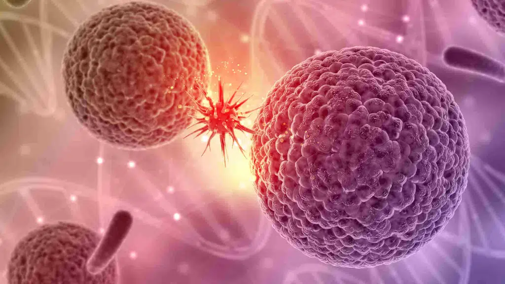 Raj surgical oncology care