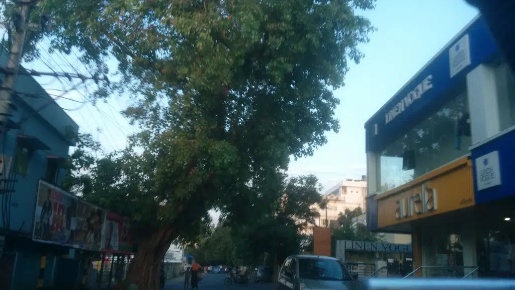 Sri Meghana Medicals