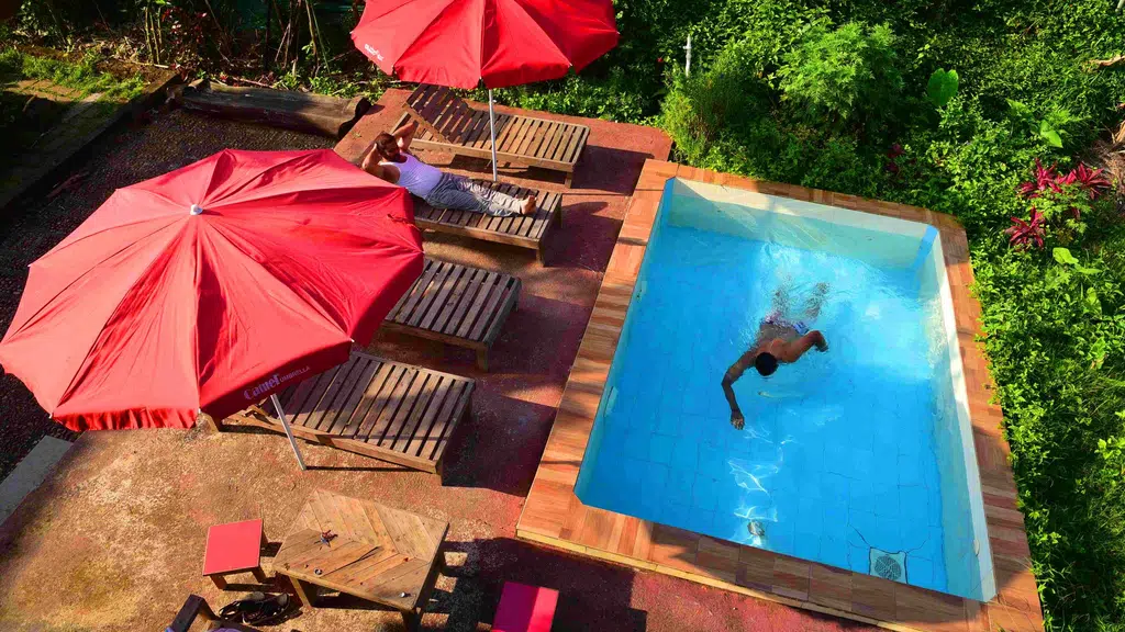 JungleWood House Resort