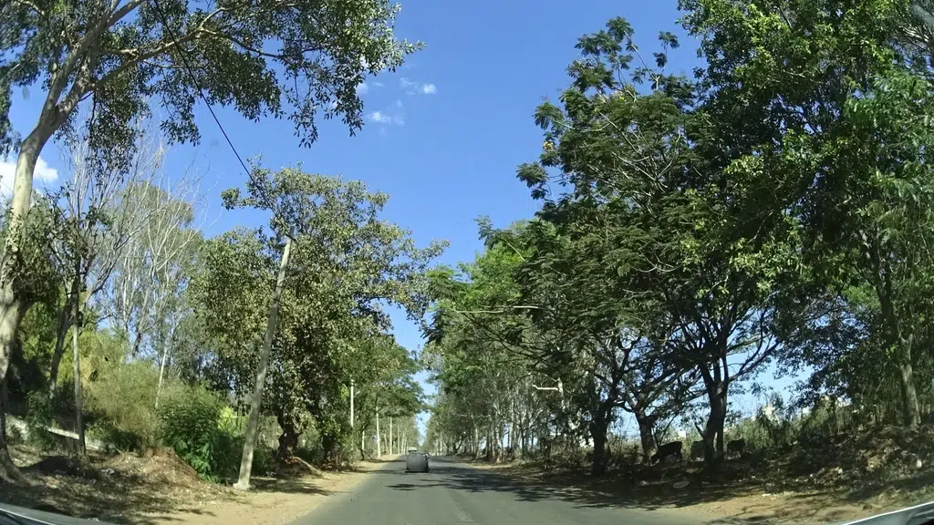 Sanjivini VS Vidya Samsthe High School