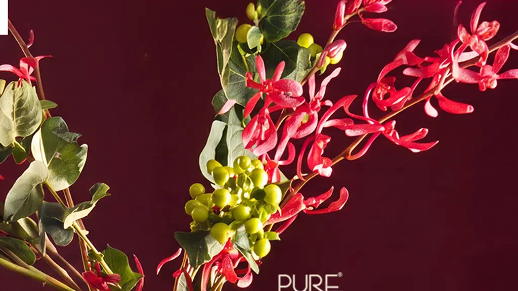PURE Home+living