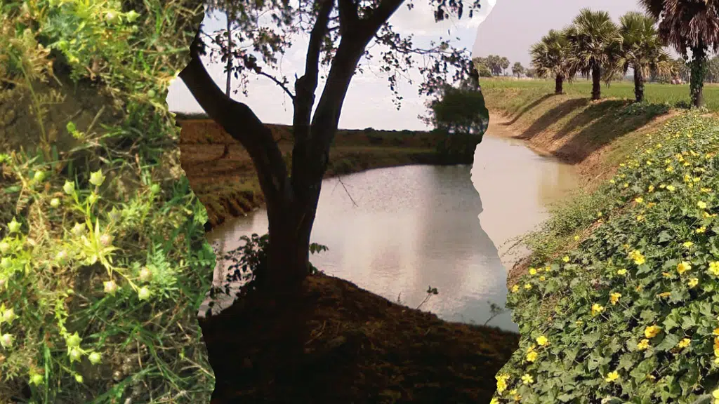 Foundation for Rural Recovery and Development
