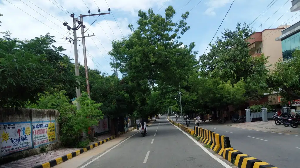 Scholars Academy