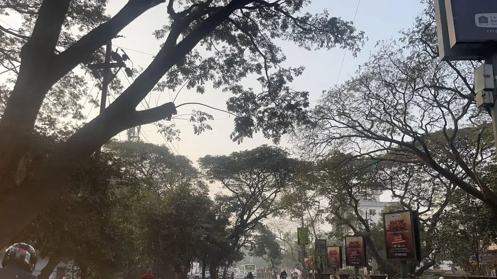 Lakshya Ayurvedic Shopee
