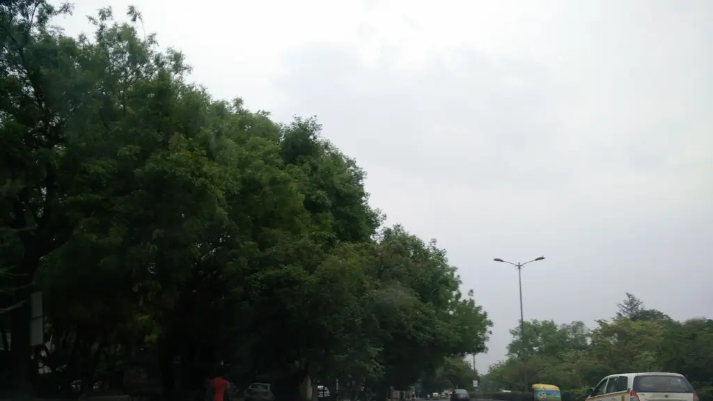 WLM India