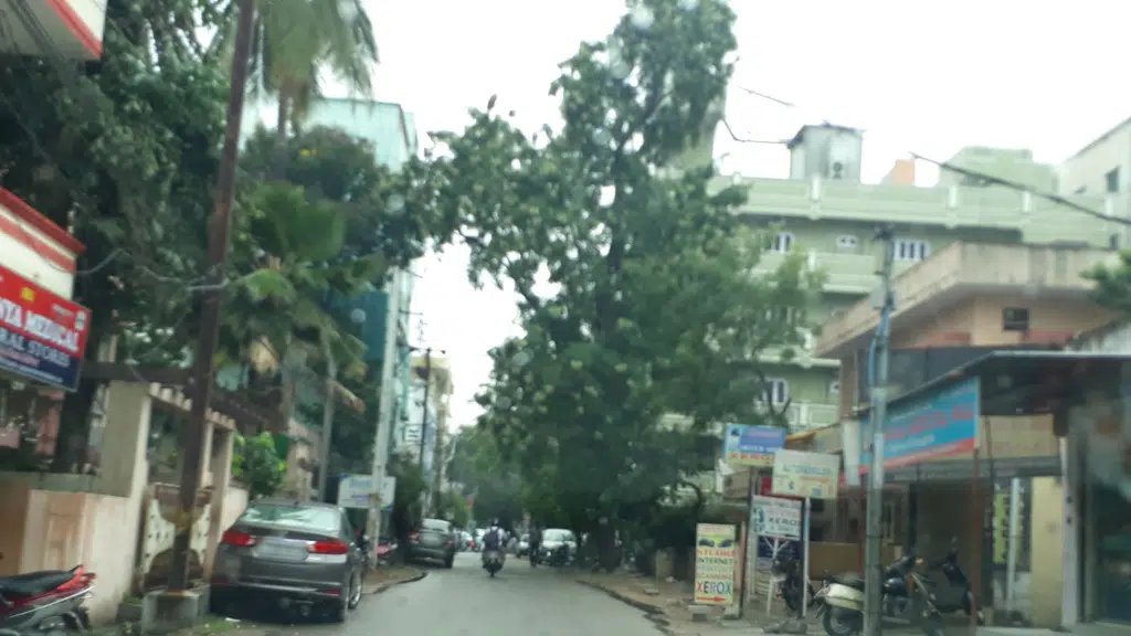 Sree Bhanu Ayurveda Clinic