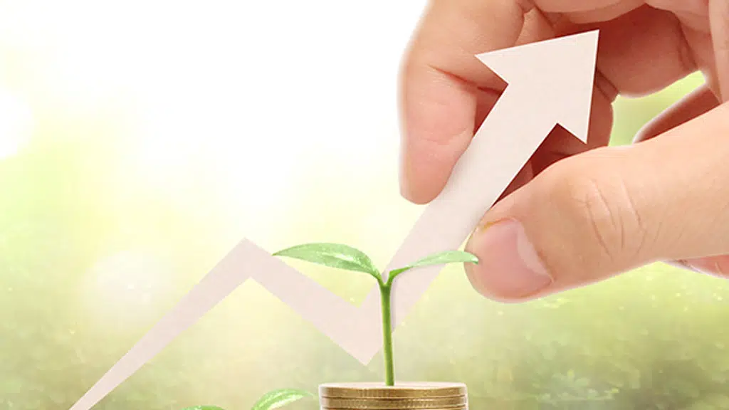 Second Opinion Financial Services
