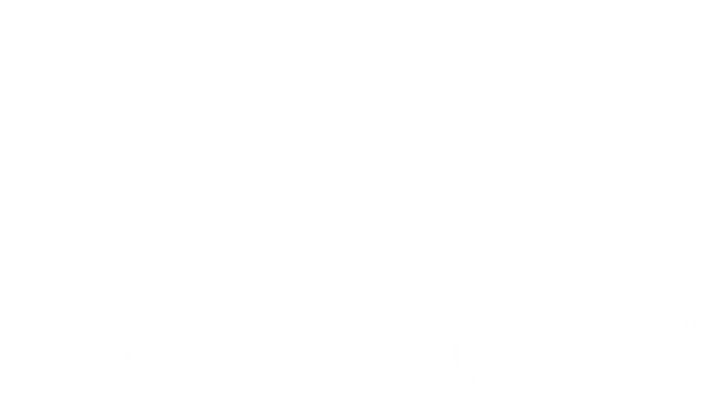 Angad Bird Netting Service