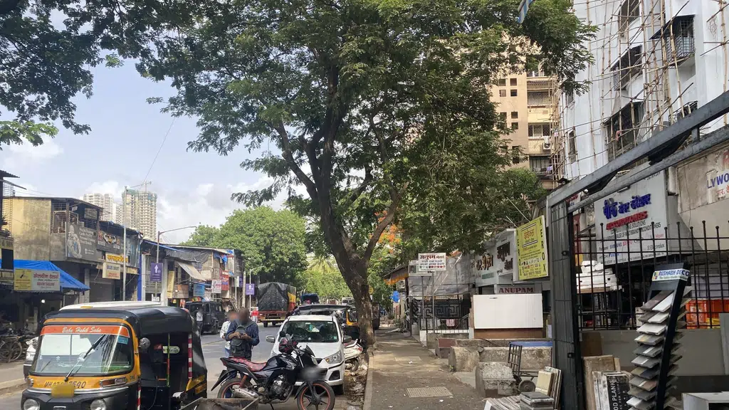 Sejal Park