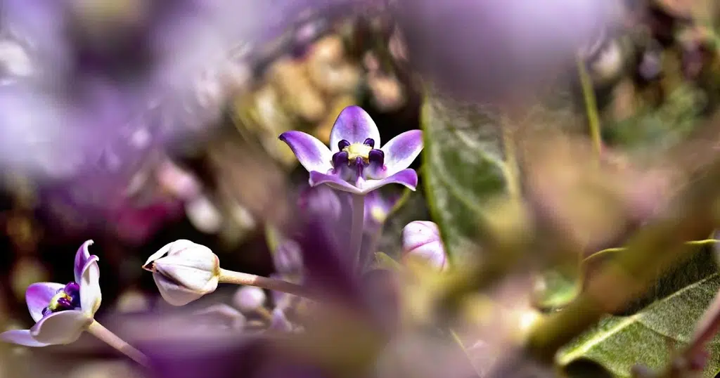 S R Photography