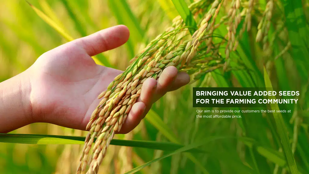 Ramnagar Seed Farm Pvt. Ltd