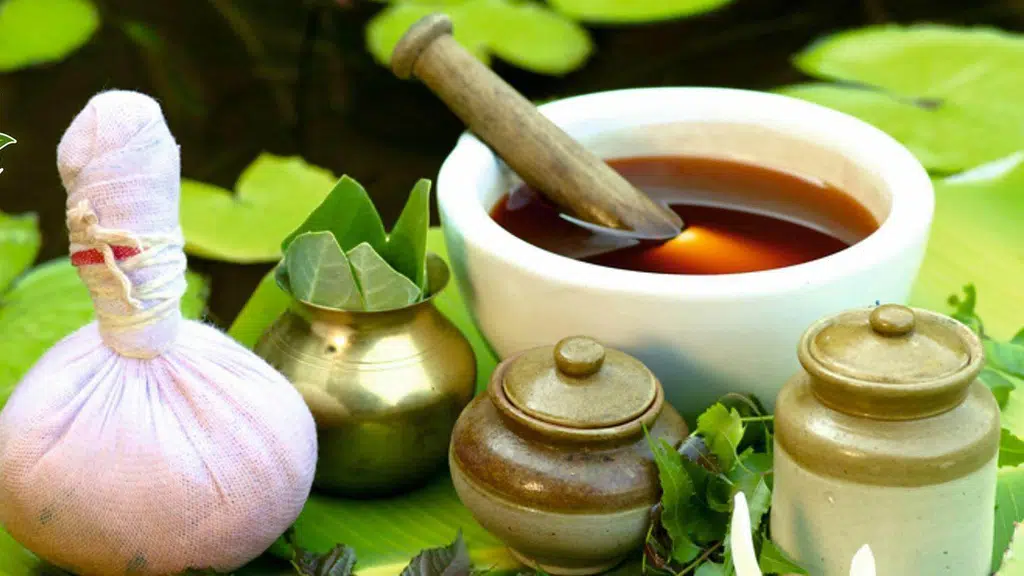 Srushti Ayurvedalaya
