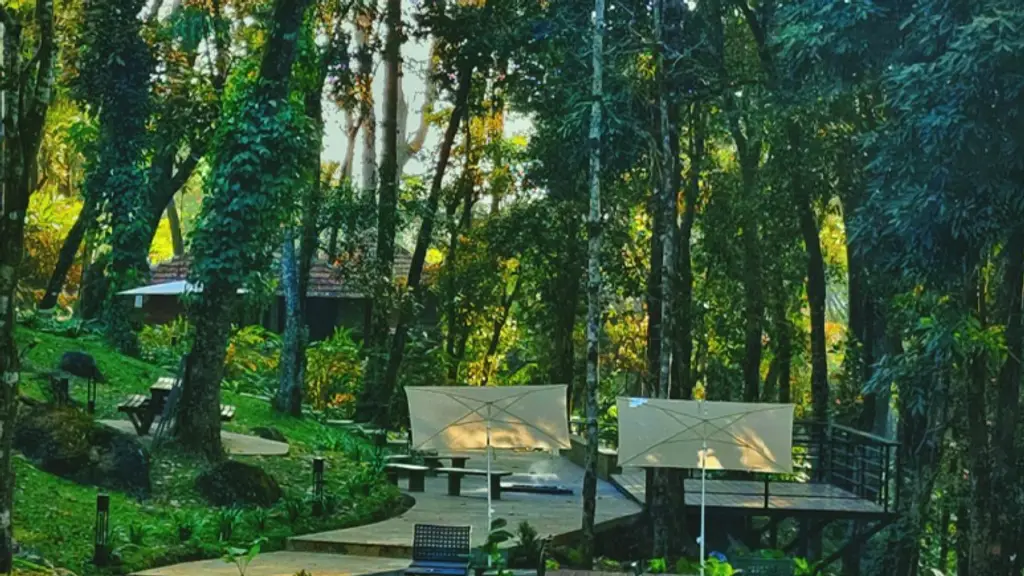 LanternStay - Forest Resort in Wayanad, Kerala