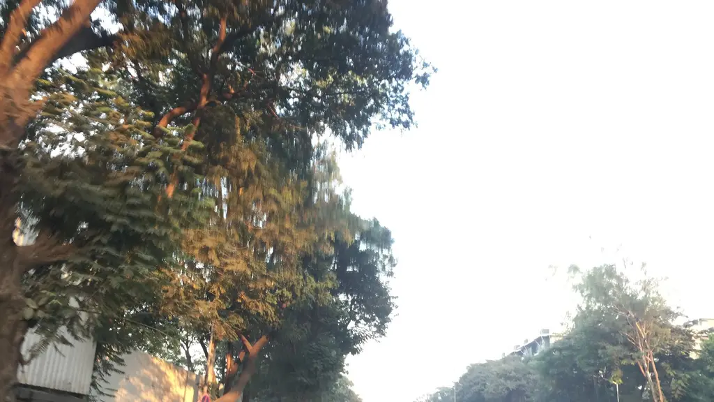 Hop N Jump
