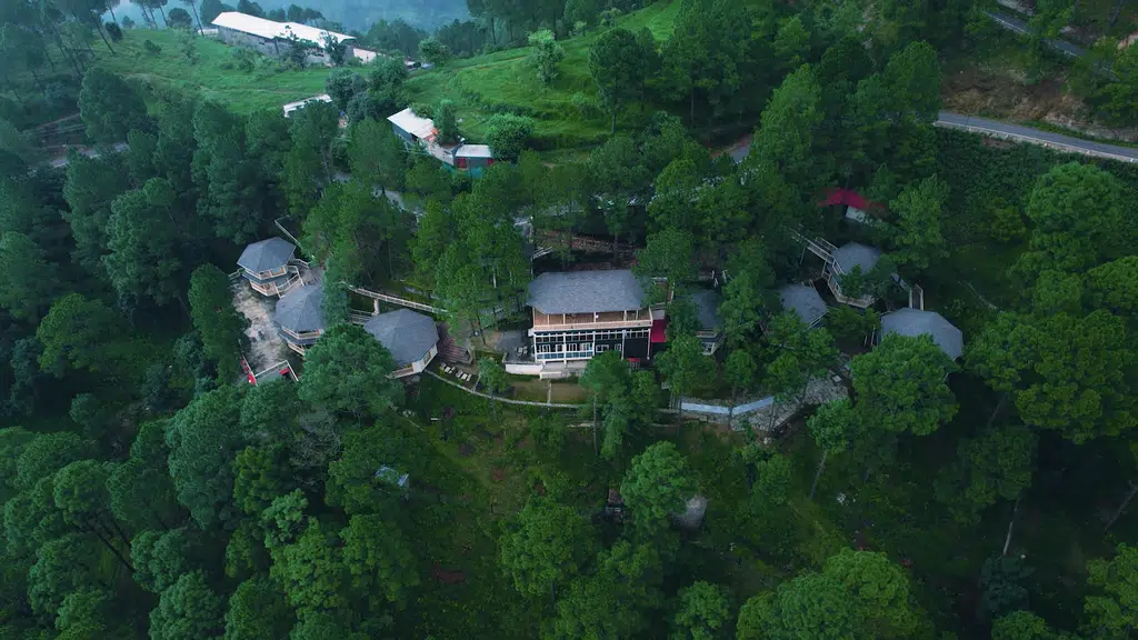 The Woods Retreat
