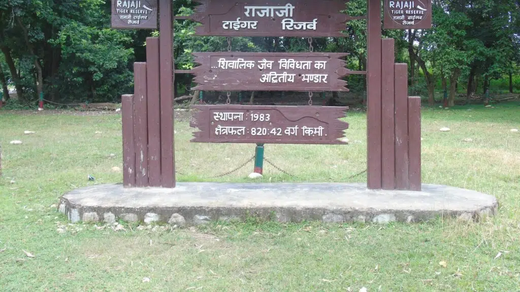 Rajaji National Park Safari
