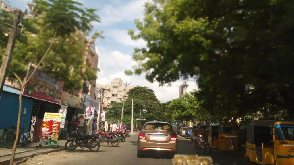 Sri Vani Vidyalaya Primary School