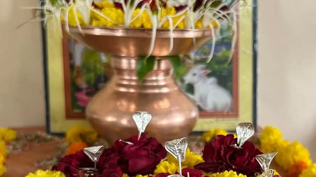 Trimbakeshwar Kaal Sarp Pandit Shekhar Kulkarni