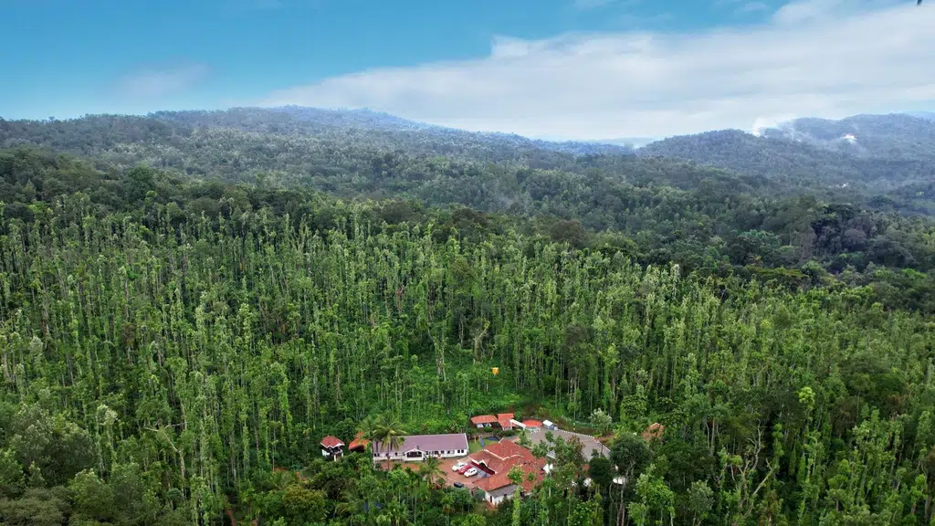 Jungle Greens Home Stay