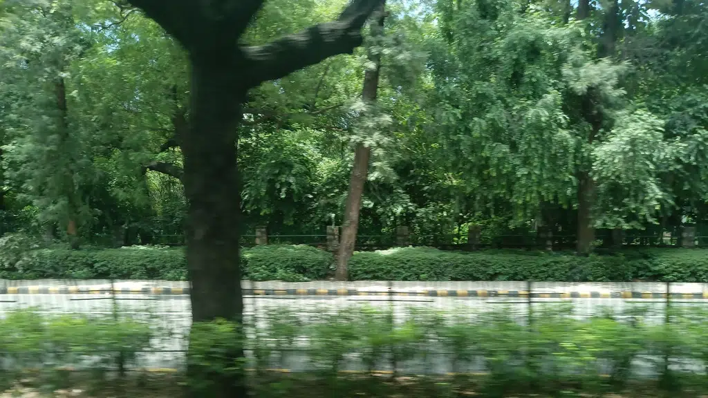 Lodhi Garden-Lodhi Road