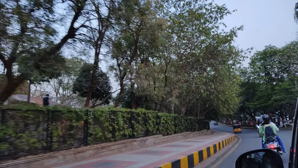 Dr Anchala Parthasaradhi