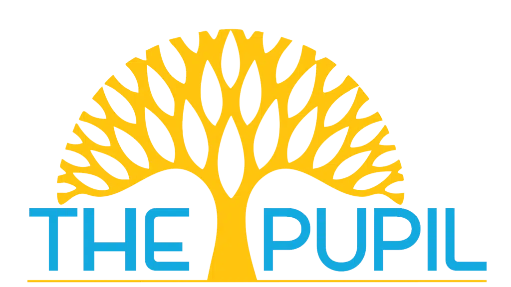 The Pupil International School