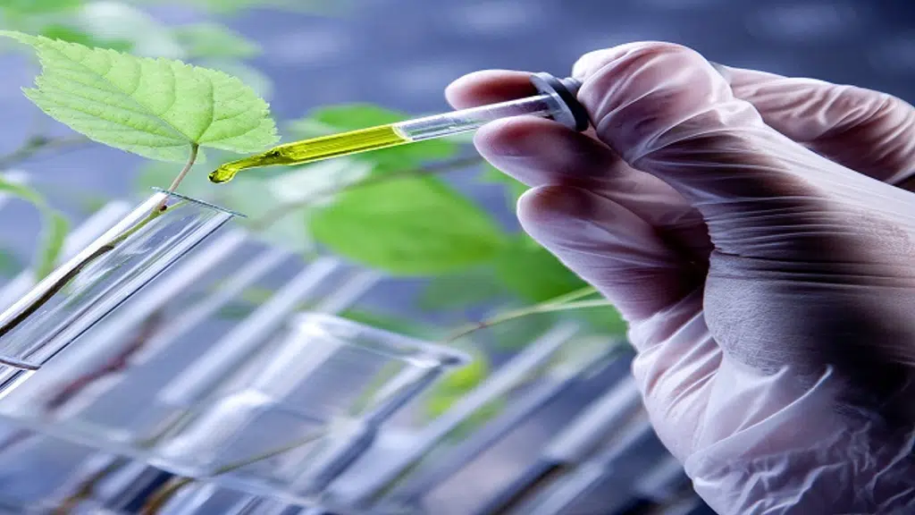 Trichy Research Institute of Biotechnology
